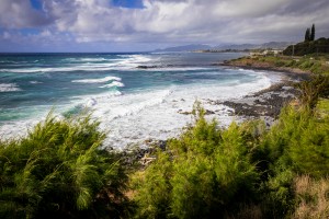 Pacific Coastline   Kauai Hawaii 0794
